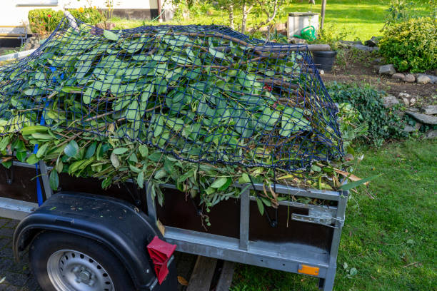  Paris, KY Junk Removal Services Pros